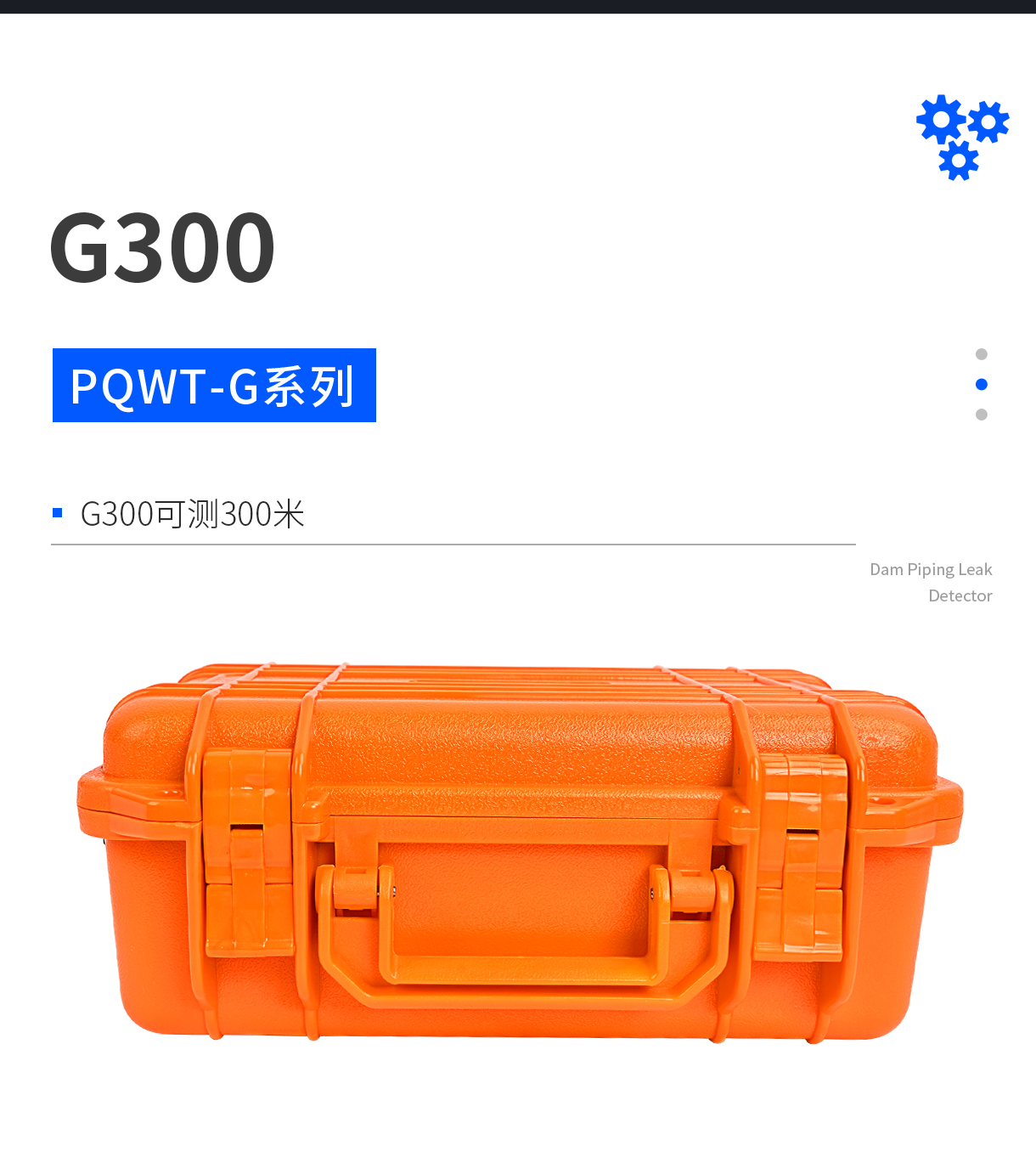 G300_10.jpg