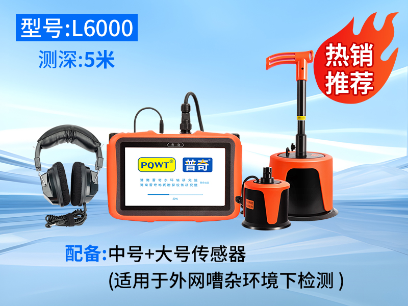 普奇L6000外网漏水检测仪（双探头）